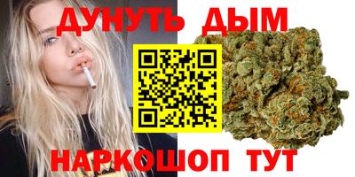 индика Беслан