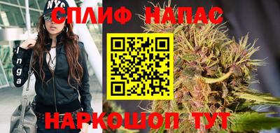 индика Беслан