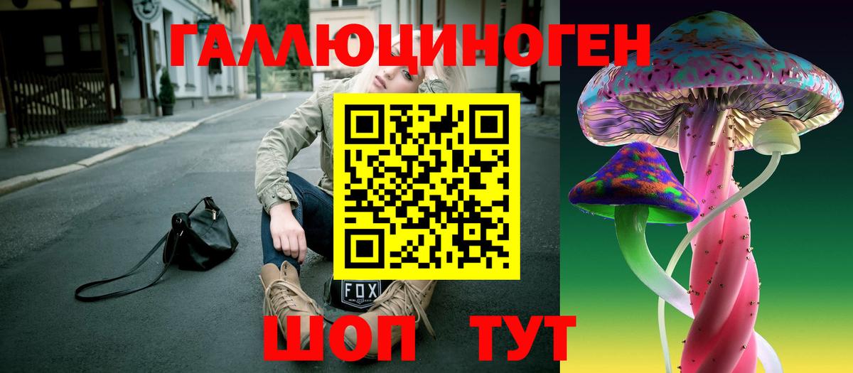 Кисловодск  Галлюциногенные грибы Psilocybine cubensis  Вход с VPN 