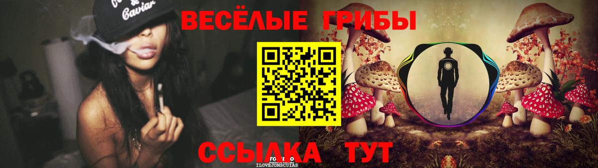 Псилоцибиновые грибы мицелий Кисловодск