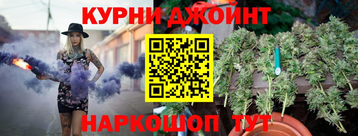 Марихуана OG Kush Кисловодск